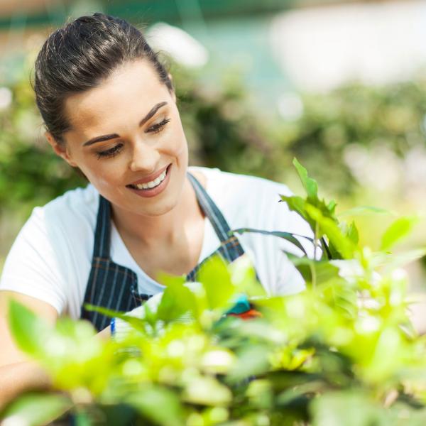 Garden Template